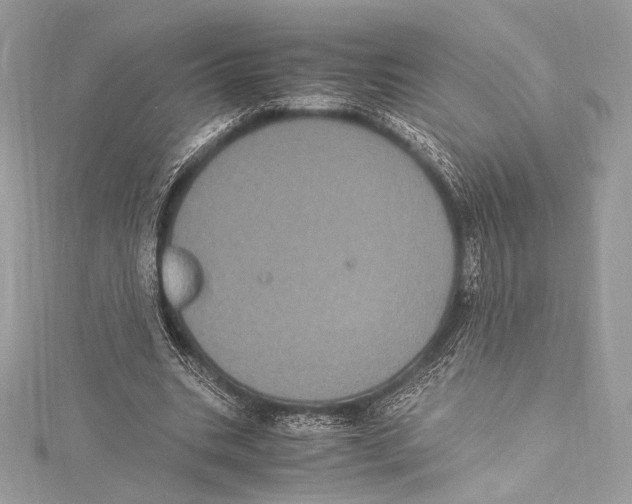 X0000115340535200911301549