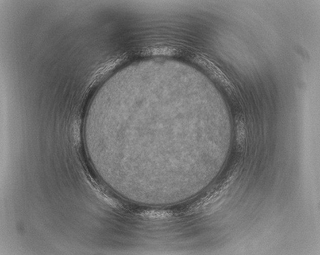 X0000115340537200911301550