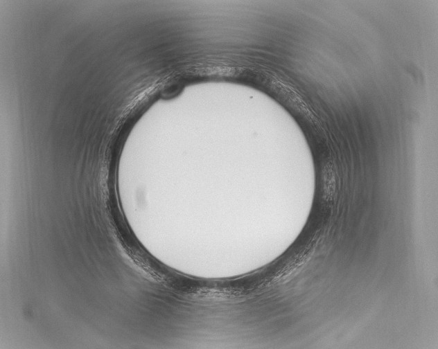 X0000115340538200911301550