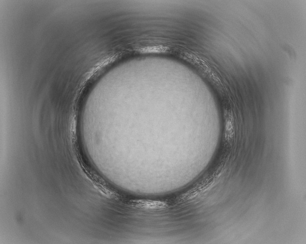 X0000115340539200911301550