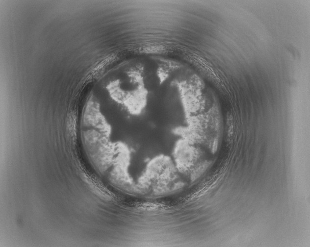 X0000115340542200911301550