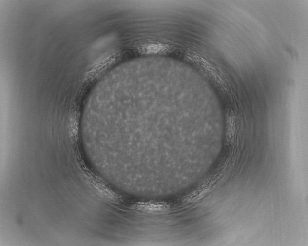 X0000115340545200911301550