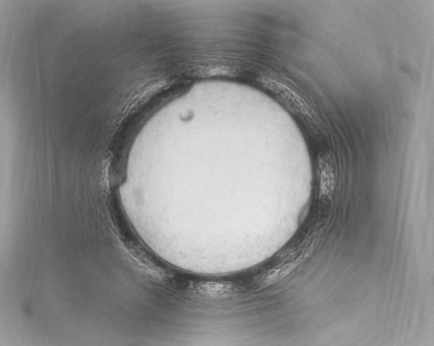 X0000115340546200911301550