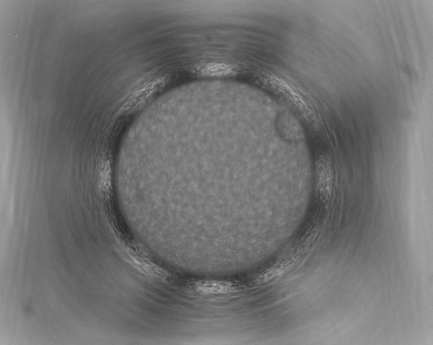 X0000115340549200911301550