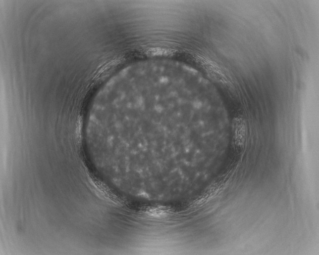 X0000115340550200911301550