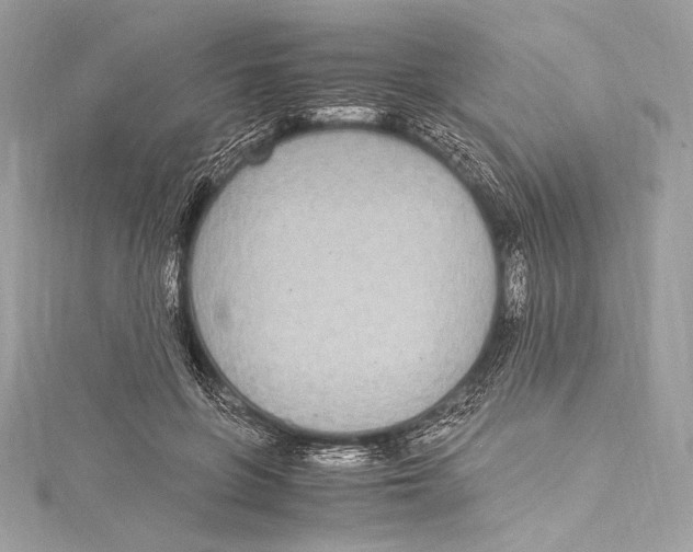 X0000115340551200911301550