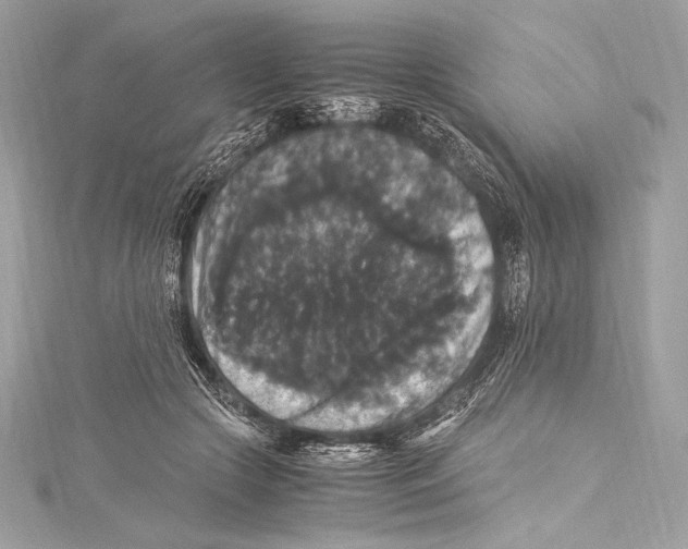 X0000115340553200911301550