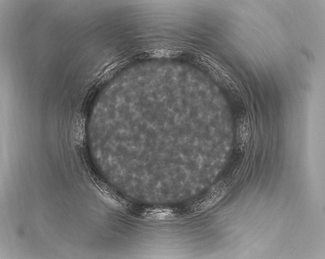 X0000115340554200911301550