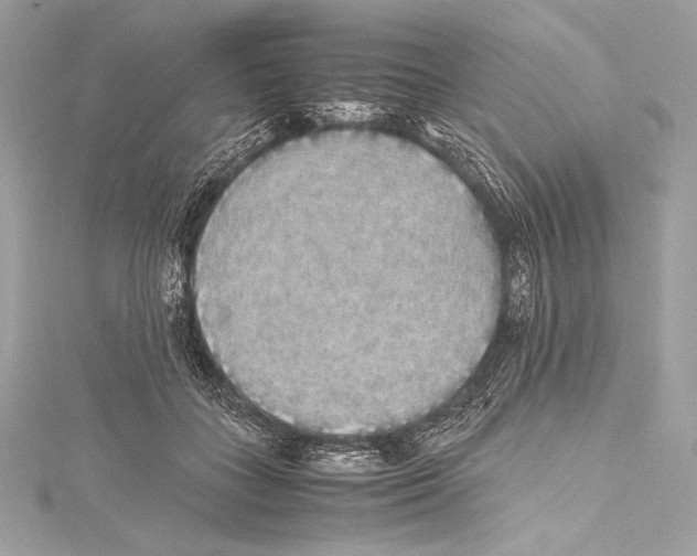 X0000115340555200911301550