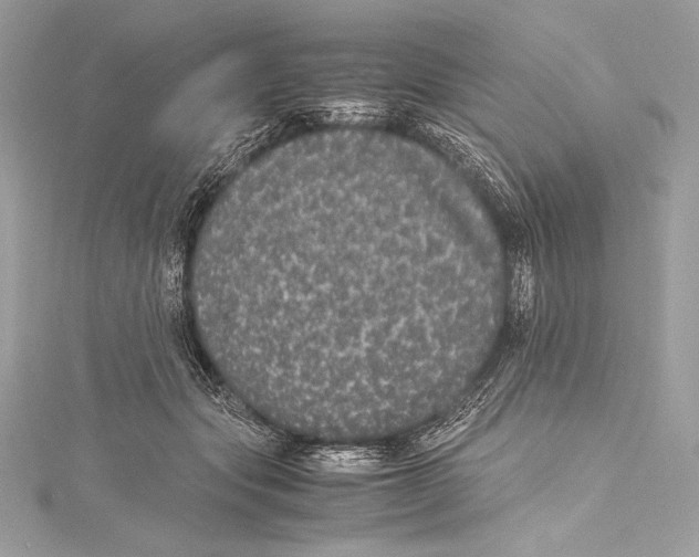 X0000115340557200911301550