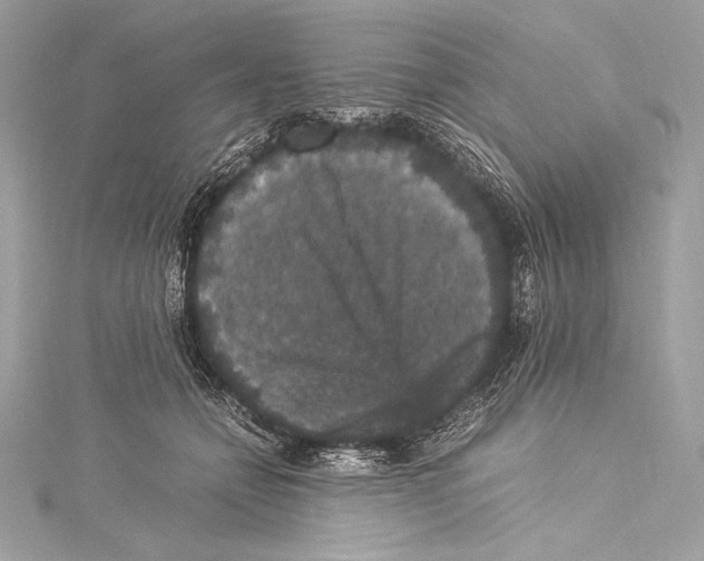 X0000115340558200911301550