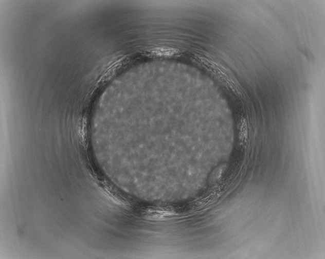 X0000115340559200911301550