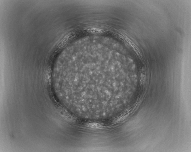 X0000115340561200911301550