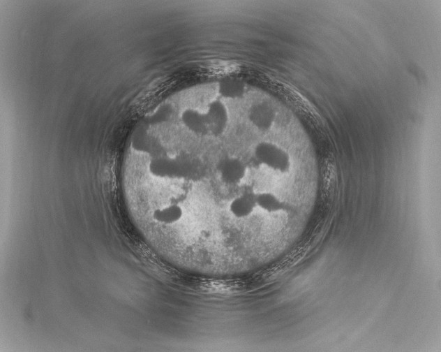 X0000115340565200911301550