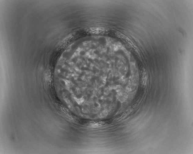 X0000115340569200911301550