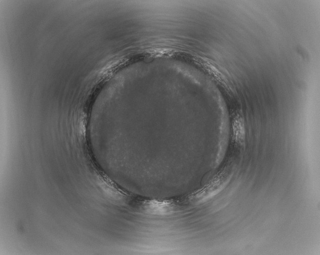 X0000115340570200911301550