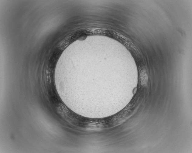 X0000115340571200911301550