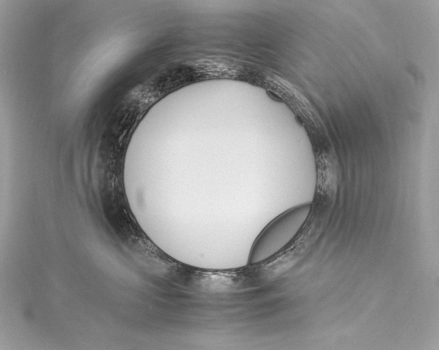 X0000115340573200911301550