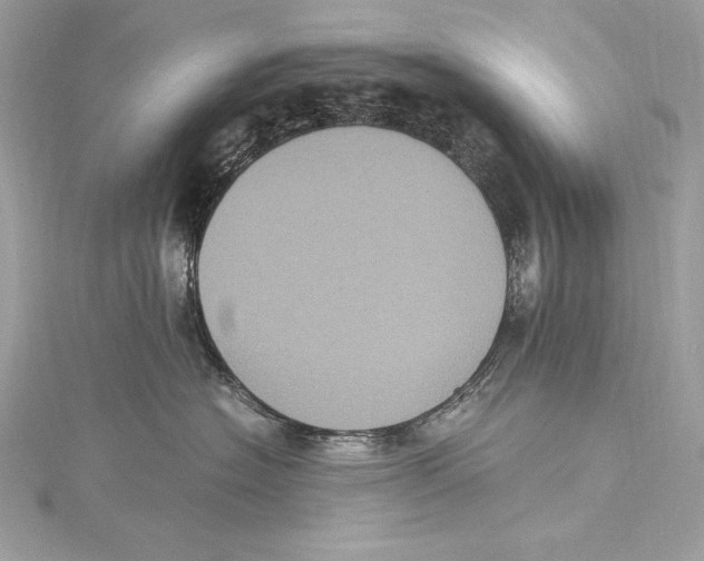 X0000115340574200911301550