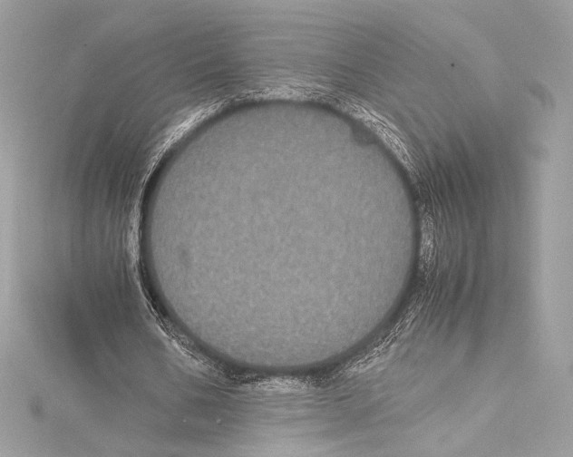 X0000115340578200911301549