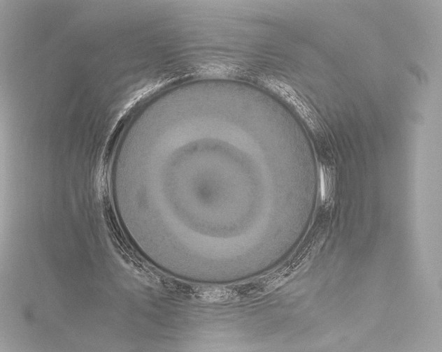 X0000115340579200911301549