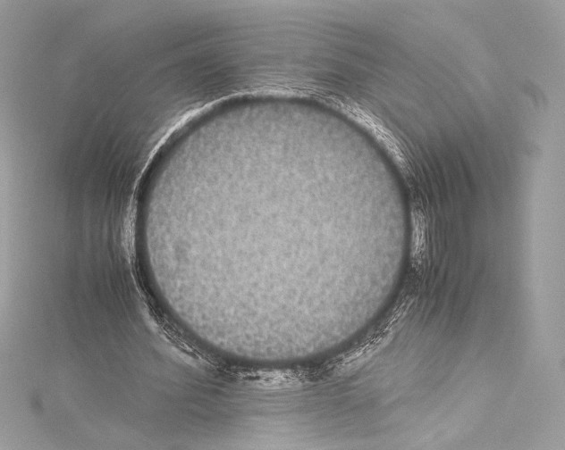 X0000115340580200911301549