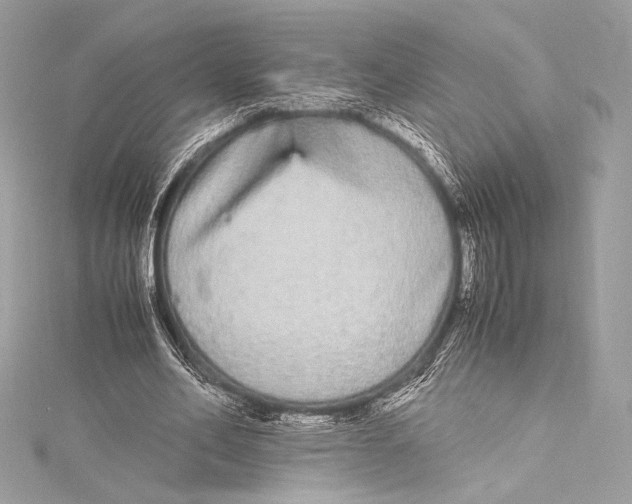 X0000115340582200911301549