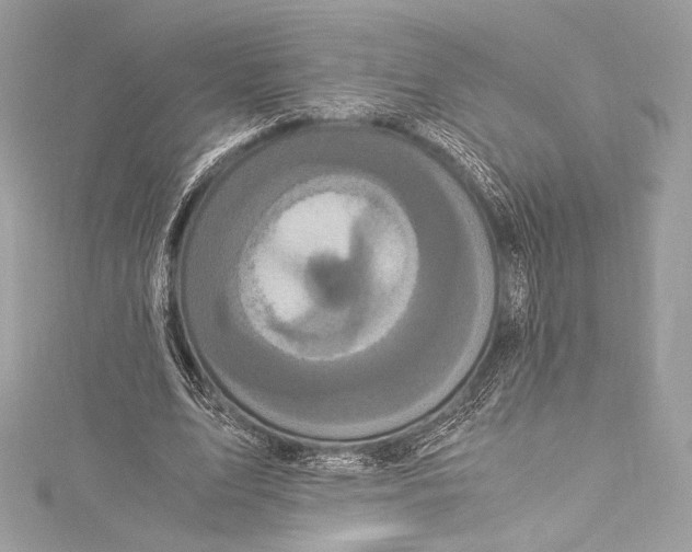 X0000115340583200911301549