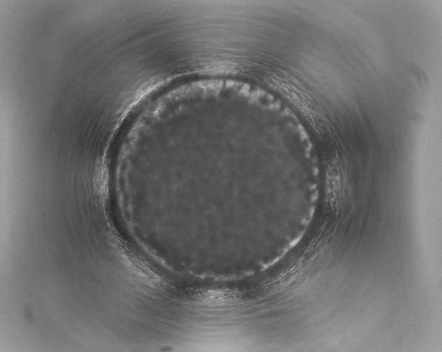 X0000115340584200911301549