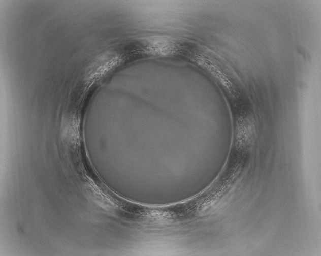 X0000115340585200911301549