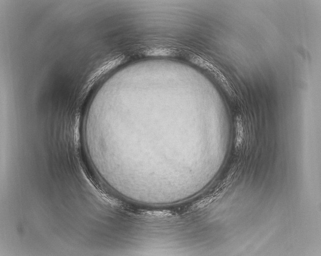 X0000115340586200911301549