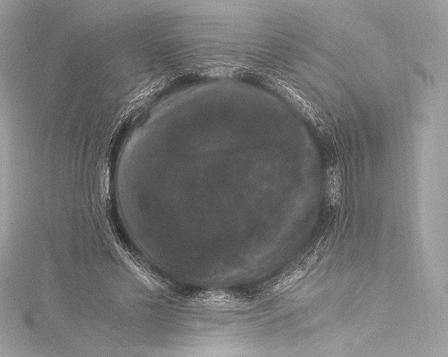 X0000115340589200911301549