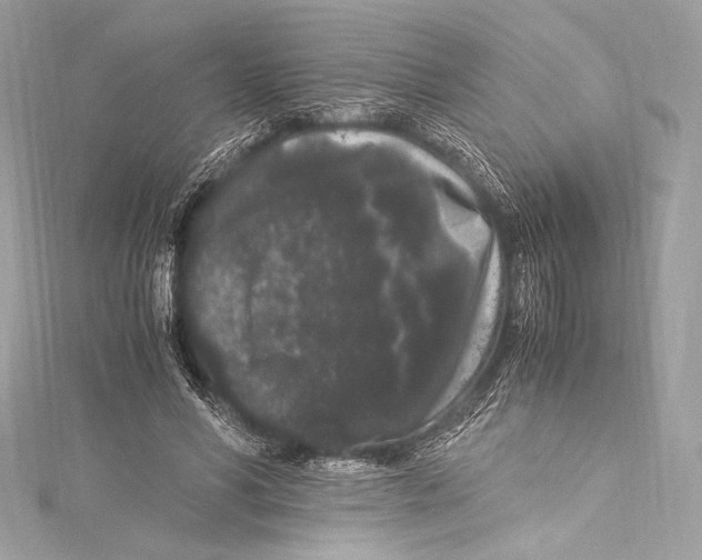 X0000115340590200911301549