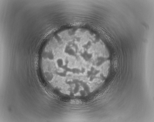 X0000115340591200911301549