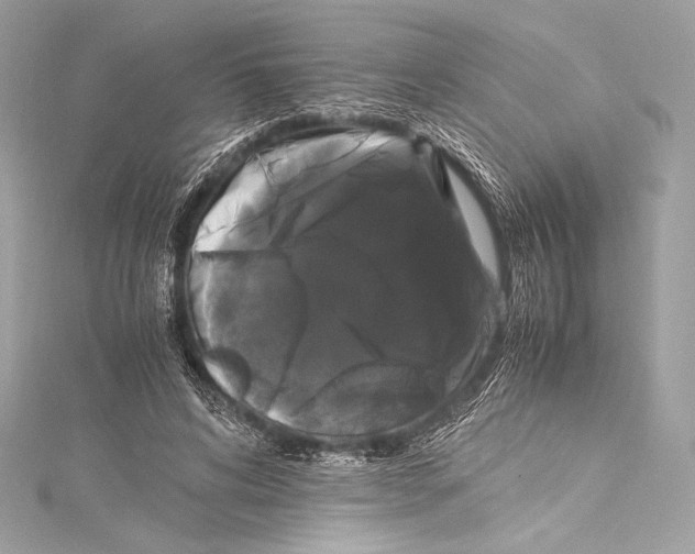 X0000115340592200911301549