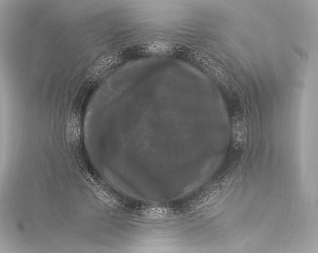 X0000115340593200911301549