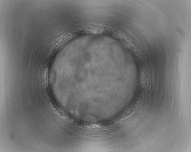 X0000115340594200911301549