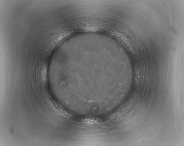 X0000115340596200911301549