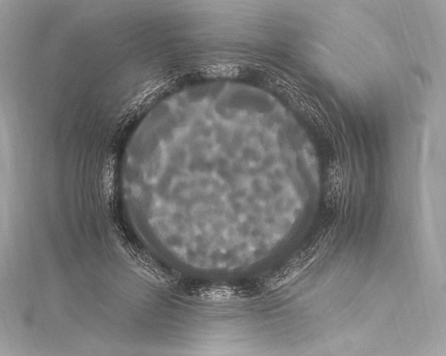 X0000115340600200911301549