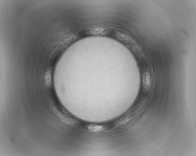 X0000115340602200911301549