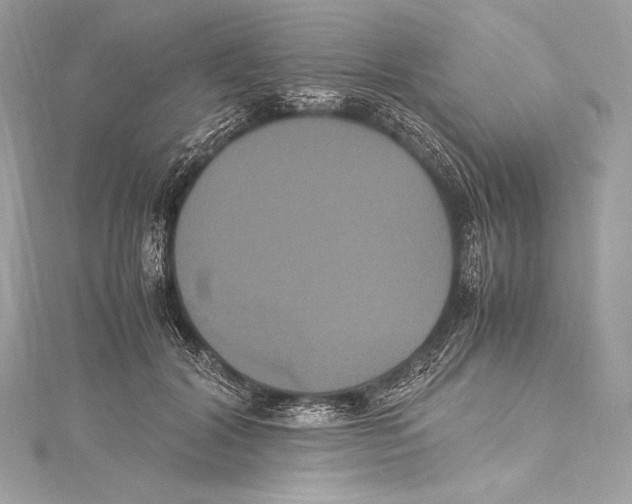 X0000115340604200911301549