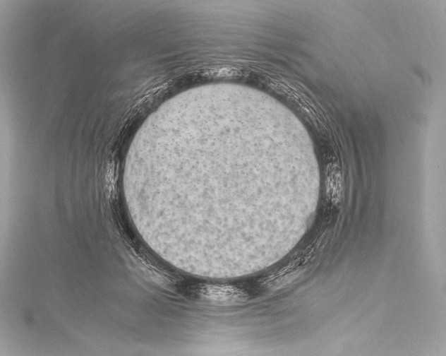 X0000115340605200911301549