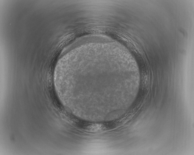 X0000115340609200911301549