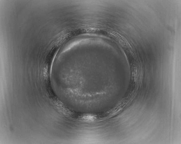 X0000115340610200911301549