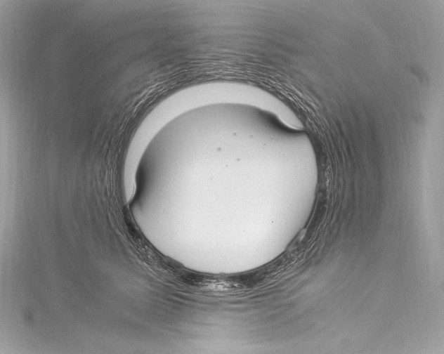 X0000115340611200911301549