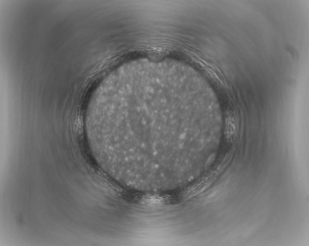 X0000115340613200911301549