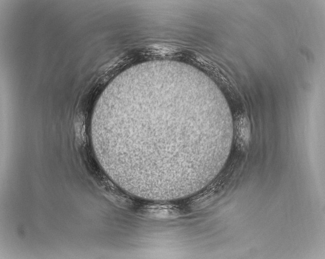 X0000115340615200911301549