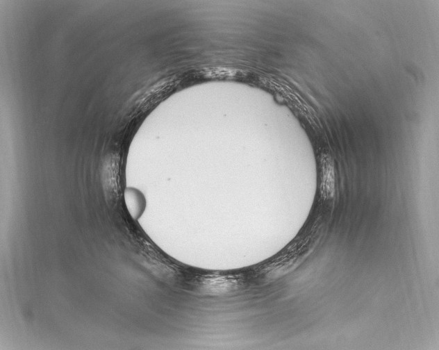 X0000115340616200911301549