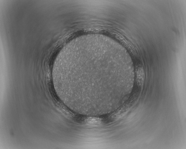 X0000115340617200911301549