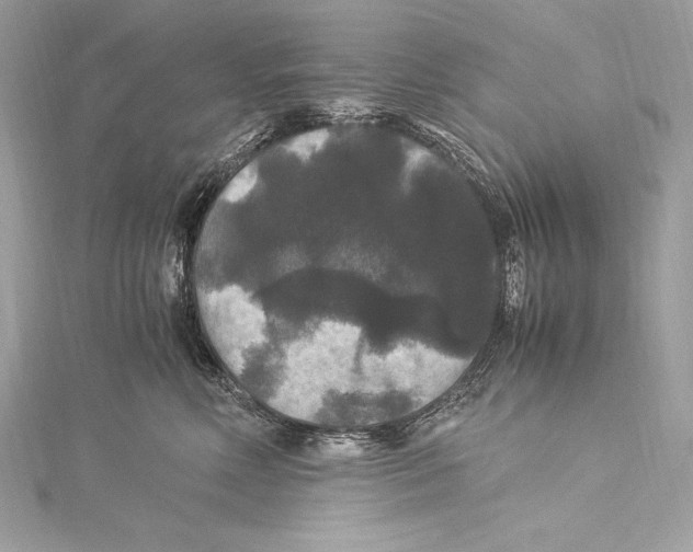 X0000115340618200911301549